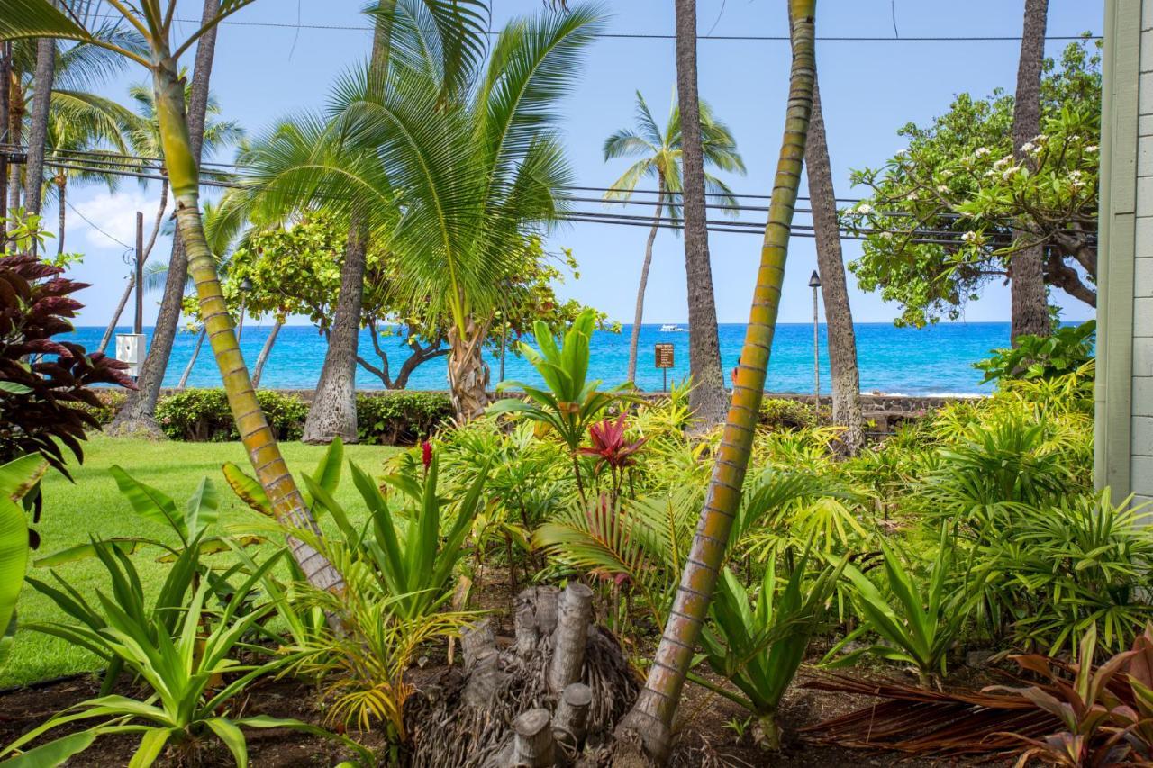 Spring Rates Book Now - Islander Condos Kailua-Kona Dış mekan fotoğraf